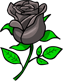 Black Rose (Karagül)