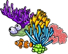 Apo Reef