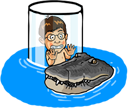 Crocosaurus Cove