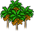 AlUla Oasis