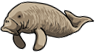 Dugon